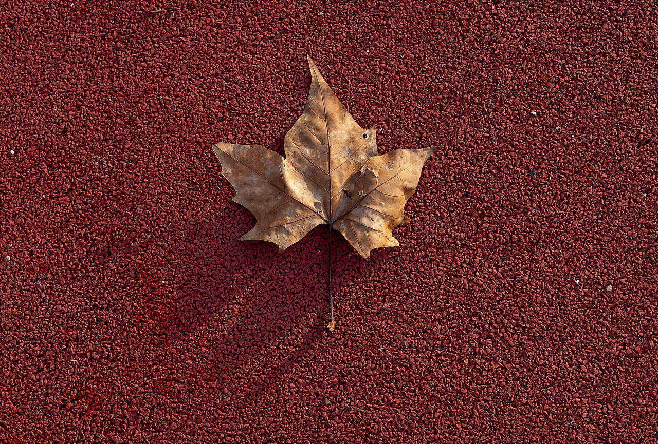 Blatt