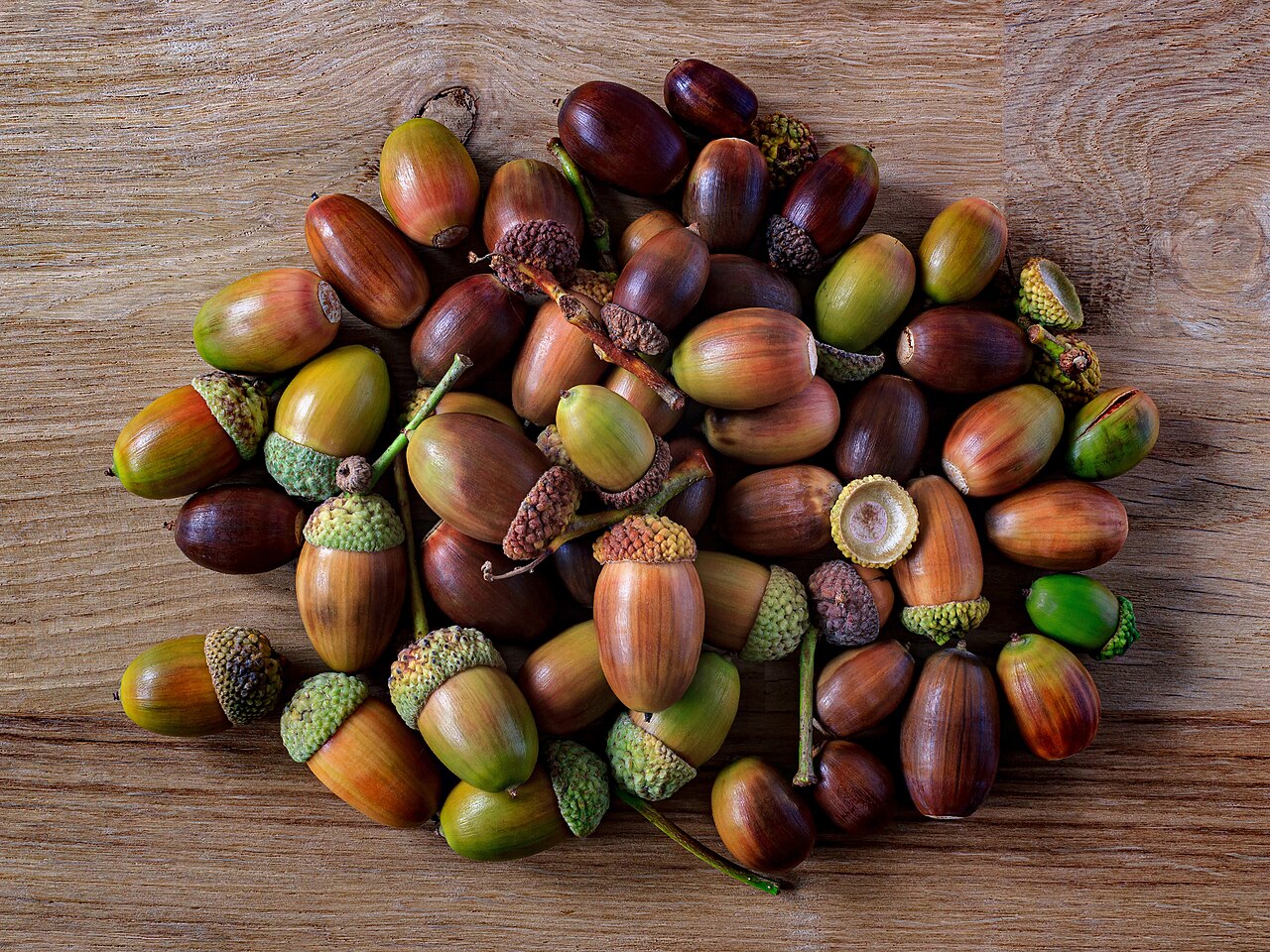 Frucht